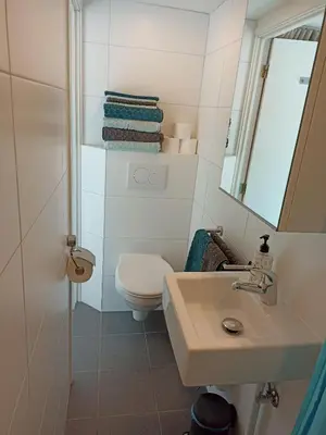 a bathroom with a toilet and a sink and a mirror at Little Beach Place in Zandvoort