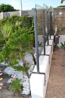 a garden with a bonsai tree in a planter at Beachy Chic Zandvoort in Zandvoort