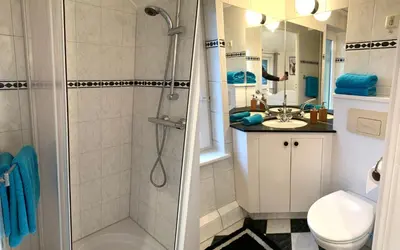 a bathroom with a shower and a toilet and a sink at B&B De Hooiberg Edam-Volendam in Edam