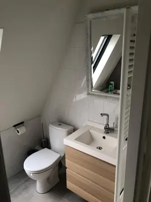 a bathroom with a toilet and a sink and a mirror at Have a nice stay! - Holiday Home de Witte Raaf with garden and hottub in Noordwijk aan Zee
