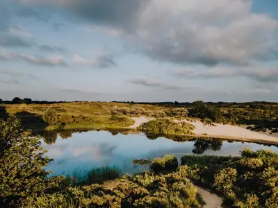 an aerial view of a river in a field at Beach Suite Sand in Zandvoort