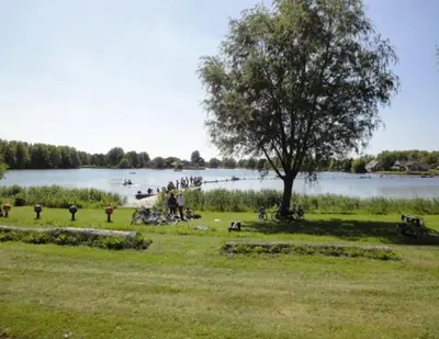 a park with a tree and a body of water at De Loft in Zuid-Scharwoude
