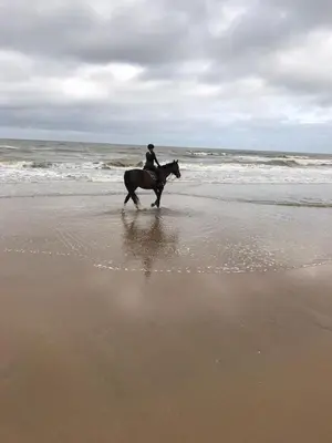 a person riding a horse on the beach at Beach Studio, No Sea View, Public Paid Parking in Zandvoort