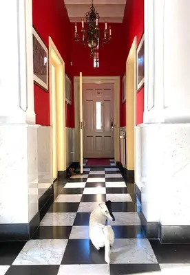 a dog sitting on the floor of a hallway at Oude Postkantoor de Rijp in De Rijp