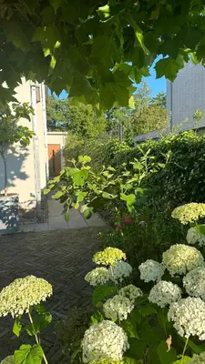 a garden with white hydrangeas at Luxe B&B 