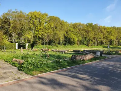 a park with a field with trees and a road at Casa Allegria - Zuiderbosch in Bergen