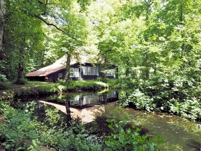 a house in the woods next to a river at Casa Allegria - Zuiderbosch in Bergen