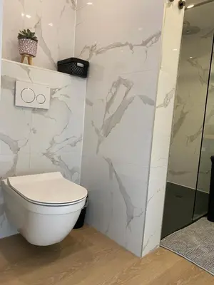 a bathroom with a toilet and a shower at Style Gardenhouse Zwanenburg near AMSTERDAM, HAARLEM, ZANDVOORT in Zwanenburg