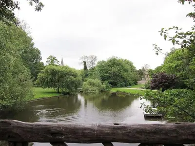a pond in a park with a log in the foreground at The Little Townhouse in Amsterdam