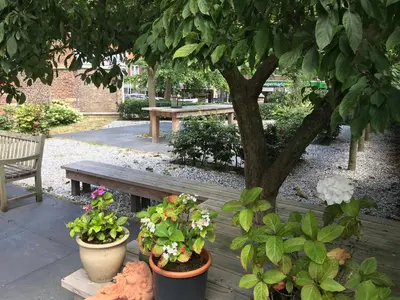a park bench with potted plants and a tree at Bed en kerk monumentale 2 slaapkamer woning in Hoorn