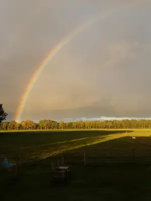 a rainbow in the sky over a field with a bench at De indiaan in Noord-Scharwoude