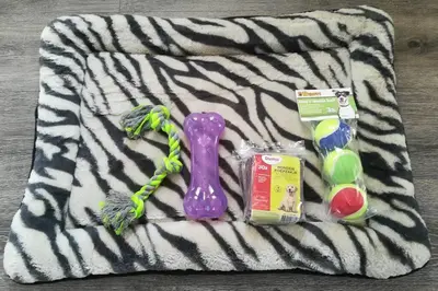 a group of toys on a zebra towel at Vakantiehuis Horsterwold in Zeewolde