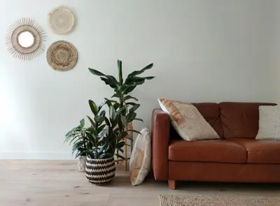 a living room with a brown couch and a plant at Cosy Tiny House 5 min walk Keukenhof included entrance keukenhof in Lisse