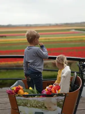 a young boy standing in a cart full of flowers at Cosy Tiny House 5 min walk Keukenhof included entrance keukenhof in Lisse