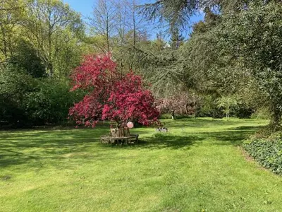 a park with a picnic table and a pink tree at Lodge 'De Groene Parel' in Schoorl