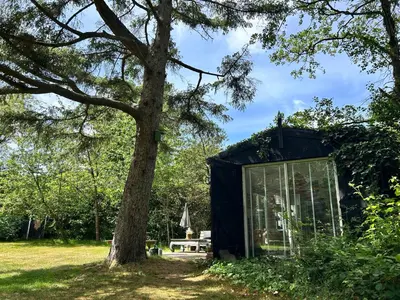a black tiny house next to a tree at Lodge 'De Groene Parel' in Schoorl