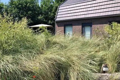 a house with tall grass in front of a building at Villa Klein Geluk in Egmond aan Zee