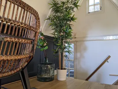 a room with a table with plants and a chair at StoreStay DamSquare in Amsterdam
