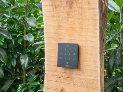 a black electrical switch on the side of a tree at Onze Kas in Lelystad