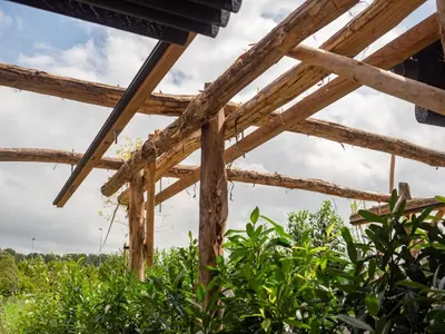 a view of the roof of a tea plantation at Onze Kas in Lelystad