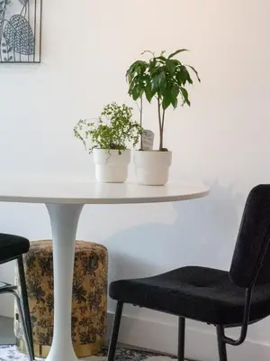 a table with two potted plants on top of it at Onze Kas in Lelystad