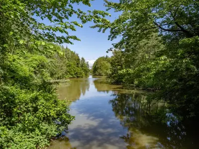 a view of a river through the trees at Onze Kas in Lelystad