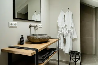 a bathroom with a stone sink on a counter at B&B de Cley in Noordwijk