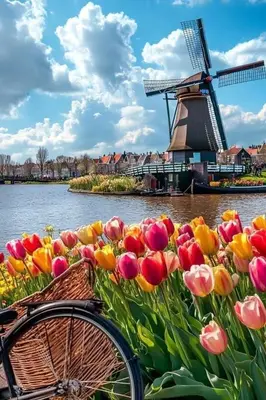 a bike parked in front of flowers with a windmill at 