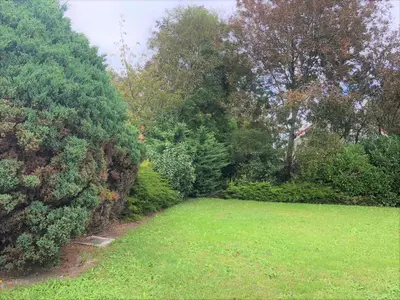a garden with green grass and trees and bushes at Strand Villa Stern Noordwijk in Noordwijk