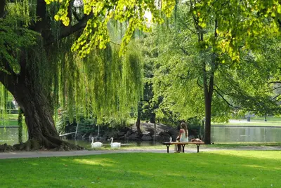 a woman sitting on a bench in a park with ducks at Trendy 2 bedroom accommodation on perfect location in Amsterdam