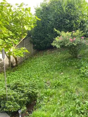a yard with green grass and trees and a fence at Tinyhouse Woody at the Water in Zaandam
