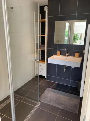 a bathroom with a sink and a mirror at Jagershof in Egmond aan den Hoef