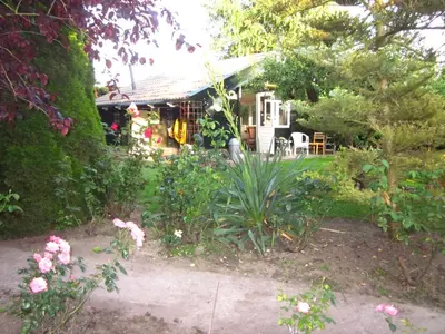 a garden with a house in the background at het Uylennest, uniek en goedkoop! in Hem