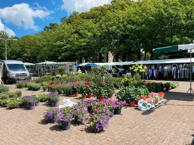 a bunch of flowers in pots in a parking lot at Luxurious historical Loft close to the beach! in Wassenaar