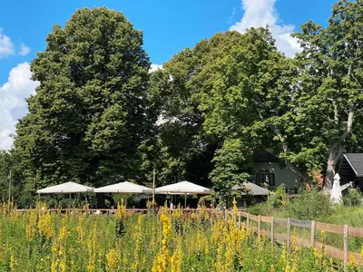 a group of tables with umbrellas in a field at Luxurious historical Loft close to the beach! in Wassenaar