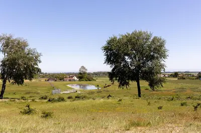 a field with trees and a pond in it at Kustlijn vakantiewoning in Egmond aan den Hoef