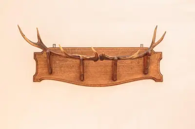 a piece of wood with antlers on a wall at Hotel Dwars in Amsterdam
