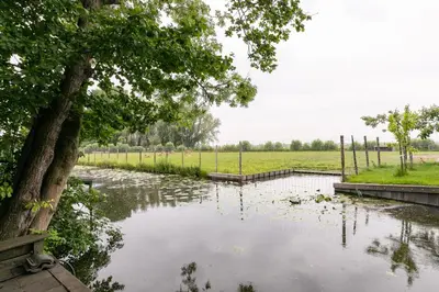a body of water with a tree and a field at Cottage 'Onder de boompjes' in Oostwoud