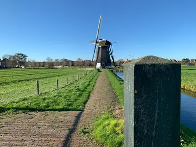 a windmill in a field next to a canal at Chalet - B&B de Koog in Uitgeest