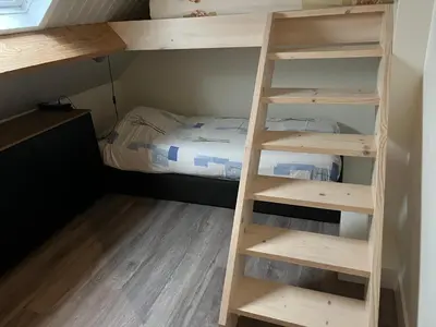 a bunk bed in a small room with a ladder at Christinahoeve Logies in Boskoop