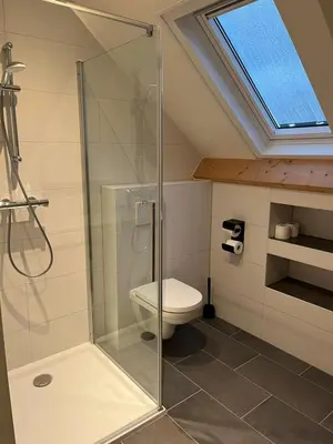 a bathroom with a shower with a toilet and a skylight at Christinahoeve Logies in Boskoop