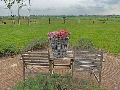 two wooden benches with a basket of flowers on them at Christinahoeve Logies in Boskoop