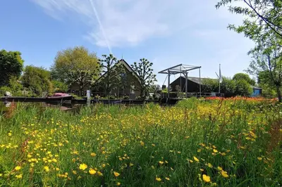a field of yellow flowers in front of a house at Mariahoeve-Logies #'t Hooihuis in Woubrugge