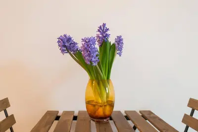 a vase filled with purple flowers sitting on a table at Charming apartment in city center in Amsterdam