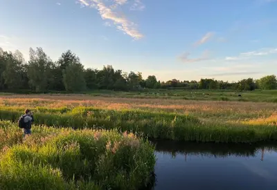 a person standing in a field next to a river at Hotel Flora Batava in Breukelen