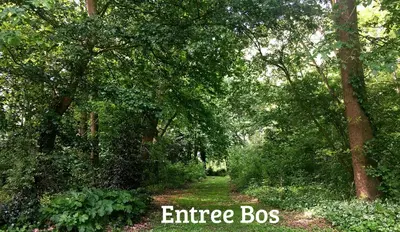 a path through a forest with the words enterprise bots at Kwadijkerbos in Kwadijk
