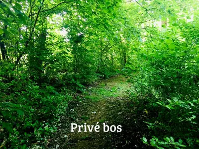 a dirt trail in a forest with the words picnic dos at Kwadijkerbos in Kwadijk