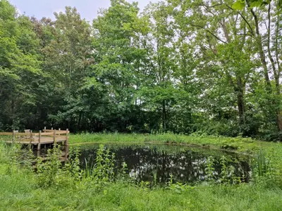 a pond with a wooden bench in a park at Kwadijkerbos in Kwadijk