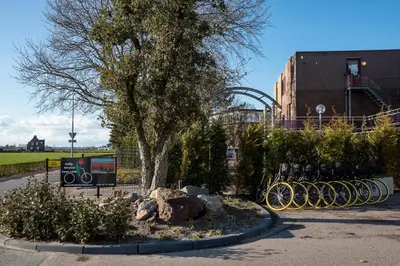 a group of bikes parked next to a tree at Hotel Lowietje Lisse - Keukenhof - Free Parking in Lisse