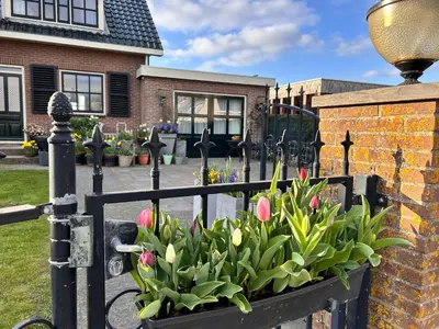 a fence with pink tulips in a flower box at Flowerbed in Voorhout